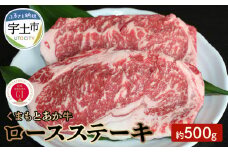 1-1307 GI認証　くまもとあか牛　ロースステーキ　約500ｇ
