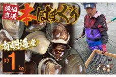 46-25　網田漁協直送!　本はまぐり約1kg