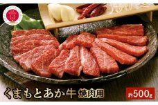 1-1310　GI認証　くまもとあか牛　焼肉用　500ｇ