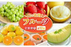 【フルーツ定期便Ａ】2026年旬の味覚限定セット！