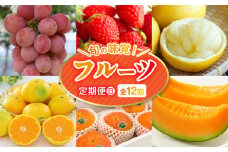 【フルーツ定期便B】2026年旬の味覚限定セット！