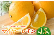 54-17　福島オレンジ農園　マイヤーレモン　1.5kg