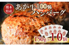 117-49　オアシス九州　熊本県産あか牛ハンバーグ150ｇ×10個