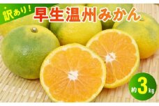 101-13  村田果樹園　【訳アリ】早生温州みかん  約3kg