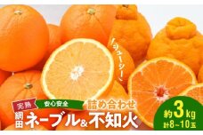 101-12 村田果樹園　網田ネーブルと不知火の詰め合わせ　約3kg