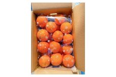 101-15　【訳あり】村田果樹園　完熟網田ネーブル　約５kg（大きさ：M～３L　約25玉）