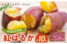 15-556　那須自然農園「紅はるか」約10kg