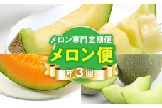 T006-meron【メロン便】年に3回お届け！メロン専門の定期便！