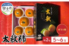 135-3　澤田果物【ギフト用】太秋柿　約２kg（５～６玉）５L大玉
