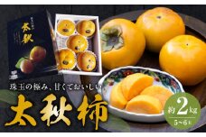 85-2　えのしまファーム　【贈答用】太秋柿　約２ｋｇ(5～６玉)　