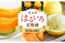 T007-haruiro　【宇土市】 はるいろ定期便