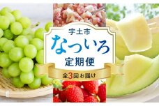 T007-natuiro　【宇土市】なついろ定期便