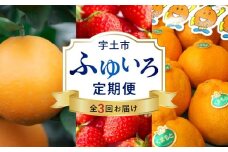 T007-fuyuiro　【宇土市】ふゆいろ定期便