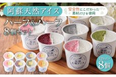 阿蘇天然アイス　ハーフ&ハーフ　8個セット   ふるさと納税 スイーツ ハーフ&ハーフ 8個 バラエティー セット フルーツ アイス お菓子 お取り寄せ ギフト 贈答用 贈り物 ギフト お子様 おやつ 美味しい 贅沢 素材 豪華 冷凍 熊本県 阿蘇市
