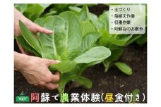 阿蘇蔵農園 阿蘇のカルデラで農業体験＆お散歩 野菜スムージー・お弁当あり
