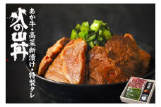 あか牛　火の山丼（ふるさとセット）牛肉・特製タレ・高菜　 あか牛 ステーキ 丼 セット 牛肉 高菜 冷凍 赤牛 あかうし 熊本 くまもと 和牛 褐色和牛 国産 赤身  贅沢 ごちそう 贈り物 ギフト 贈答用  熊本県 阿蘇市
