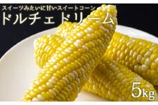 とても甘いスイートコーン「ドルチェドリーム」5kg　産地直送　特産品　採れたて　甘い　美味しい　熊本 阿蘇
