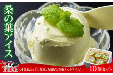 三ツ星受賞の牛乳を使用！<阿蘇ミルクアイスセット 桑の葉10個>  ふるさとセット 130ml×10個 牧場アイスならではの濃厚さ♪ ミシュラン受賞 阿蘇の牧場直送！ 牛乳 ASOMILK 手作り 阿部牧場 人気 搾りたて 新鮮 濃厚 贅沢 ご褒美 お取り寄せ スイーツ お菓子 冷凍 贈り物 ギフト 贈答用 お祝い お礼 御礼 記念日 誕生日 熊本県 阿蘇市 熊本