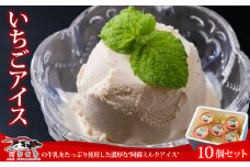 三ツ星受賞の牛乳を使用！<阿蘇ミルクアイスセットイチゴ10個>  ふるさとセット130ml×10個 牧場アイスならではの濃厚さ♪ ミシュラン 受賞 阿蘇の牧場直送！ 牛乳 ASOMILK 手作り 阿部牧場 人気 搾りたて 新鮮 濃厚 贅沢 ご褒美 お取り寄せ フルーツ スイーツ お菓子 冷凍 贈り物 ギフト 贈答用 お祝い お礼 御礼 誕生日 熊本県 阿蘇市 熊本