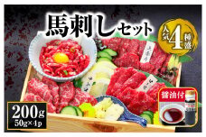 【定番】4種馬刺しセット 霜降り中トロ 上赤身 希少部位  ロース 定番人気 赤身馬刺し 専用タレ付き 小分け 2～3人前 4～6人前 小分け 詰め合わせ 馬刺し ブロック 冷凍 馬刺し 馬肉 小分け タレ付き 馬刺し お肉 熊本名物 上質 馬刺し 新鮮 お取り寄せ お祝い 馬刺し おつまみ 馬刺し 晩酌 生食用 お取り寄せ 特産品 熊本県 阿蘇市
