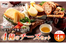 三ツ星受賞の牛乳を使用！牧場の風を感じる”阿部牧場しぼりたて牛乳でつくる出来立てチーズ4種セット” 乳製品詰め合わせ  チーズ モッツァレラ ストリングス ストリングチーズ セミハード カチョ カチョカバロ  阿部牧場 ASOMILK 阿蘇ミルク ミシュラン 3つ星 受賞 牛乳 手作り 牧場直送 人気 お取り寄せ ギフト 贈答用 贈り物 濃厚 極上 熊本県 阿蘇市