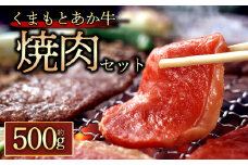 【GI認証】くまもとあか牛 焼肉用約500g  くまもとあか牛 あか牛 牛肉 焼肉 焼肉用 お取り寄せ 冷凍 お土産 ギフト 贈答用 贅沢 人気 おもてなし BBQ 晩ご飯 ディナー ごちそう 阿蘇牧場 熊本県 阿蘇市