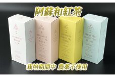 健康維持に！阿蘇和紅茶4種セット