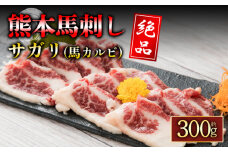 馬のサガリ 300g    馬刺し サガリ 馬のサガリ ブロック 冷凍 馬刺し 馬肉  タレ付き 馬刺し ヘルシーお肉 熊本名物 馬刺し 上質 馬刺し 新鮮 馬肉 お取り寄せ お祝い 馬刺し おつまみ 馬刺し 馬肉 晩酌 生食用 刺身 馬肉 馬刺し プレゼント お取り寄せ 名物 特産品 阿蘇牧場 熊本県 阿蘇市