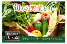 ＜畑から直送＞季節のお野菜セットをお届け！【XLサイズ】旬のお野菜の中から10～12品を厳選♪ 野菜 新鮮 野菜セット 農家直送 産地直送 野菜 厳選 こだわり 朝採れ 採れたて フレッシュ サラダ 高原野菜 果物 フルーツ 詰め合わせ おまかせ 大地の恵み 贈り物 ギフト 便利 食卓 家族 主婦 料理 お弁当 人気 おすすめ お取り寄せ 野菜 熊本県 阿蘇市