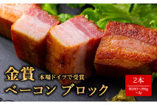 本場ドイツ食肉コンテストsuffa★金賞受賞★　ベーコンブロック 2本 約260g～290g×2 お試し どんな料理も一味ランクアップ♪  ベーコン ふるさと納税 豚肉 オリジナルスパイス ひばり工房 冷蔵 燻製 お弁当 おかず 手造り おつまみ 朝食 贅沢 美味しい スモーク 贅沢 お取り寄せ 豪華 贈答品 贈り物 おもてなし 人気 金賞受賞 熊本県 阿蘇市