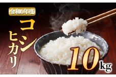 特別栽培米 アグロスタイルの白米！ R6年産コシヒカリ 10㎏