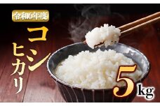 特別栽培米 アグロスタイルの白米！ R6年産コシヒカリ 5㎏