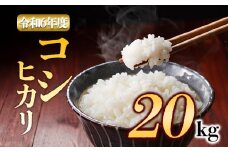 特別栽培米 アグロスタイルの白米！ R6年産コシヒカリ 20㎏