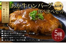 豪華5種類のあか牛のハンバーグ食べ比べセット（15個）