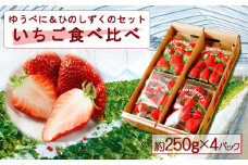いちご食べ比べセット ゆうべに・ひのしずく 各2パック 計4パック　高藤農園 いちご フルーツ 果物 ゆうべに ひのしずく お取り寄せ 冷蔵 ふるさと納税 熊本県 阿蘇市