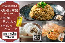 阿蘇特産品を使ったオリジナル中華セット 特産高菜 オリジナルピリ辛チャーハン 馬肉 肉まん 国産素材 女性に嬉しい 中華セット 温めるだけで超簡単 簡単本格中華 手作りギョーザ お取り寄せ おかず 時短調理 豪華 晩酌 朝ご飯 昼飯 晩御飯 熊本県 阿蘇市