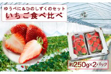 いちご食べ比べセット ゆうべに・ひのしずく 各1パック 計2パック　高藤農園 いちご フルーツ 果物 ゆうべに ひのしずく お取り寄せ 冷蔵 ふるさと納税 熊本県 阿蘇市