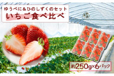 いちご食べ比べセット ゆうべに・ひのしずく 各3パック 計6パック　高藤農園 いちご フルーツ 果物 ゆうべに ひのしずく お取り寄せ 冷蔵 ふるさと納税 熊本県 阿蘇市