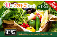 【定期便 全12回】＜畑から直送＞季節のお野菜セットをお届け！ 旬のお野菜の中から4～6品を計12回お届け♪  野菜 新鮮 野菜セット 定期便 農家直送 産地直送 野菜 厳選 こだわり 朝採れ 採れたて フレッシュ サラダ 高原野菜 フルーツ 甘い 野菜 詰め合わせ おまかせ 大地の恵み 贈り物 ギフト 便利 食卓 野菜 家族 主婦 料理 お弁当 人気 おすすめ お取り寄せ 野菜 熊本県 阿蘇市