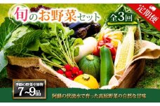 【定期便 全3回】＜畑から直送＞季節のお野菜セット Lサイズ7～9品をお届け♪ 3回 定期便 野菜 新鮮 野菜セット 定期便 農家直送 産地直送 野菜 厳選 こだわり 朝採れ 採れたて フレッシュ サラダ 高原野菜 フルーツ 甘い 野菜 詰め合わせ おまかせ 大地の恵み 贈り物 ギフト 便利 食卓 野菜 家族 主婦 料理 お弁当 人気 おすすめ お取り寄せ 野菜 熊本県 阿蘇市