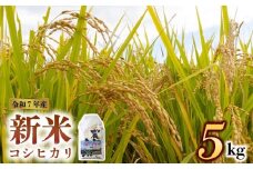 【予約】新米 令和7年産 コシヒカリ 5kg（白米）ファーム中村 お米  人気 美味しい 弾力 粘り 食感 熊本県 阿蘇市