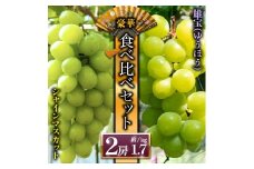 【予約】「シャインマスカット」と希少品種「雄宝」 ぶどう食べ比べ 後藤ぶどう園 希少  ぶどう旬 新鮮 期間限定 皮ごと ブドウお取り寄せ　熊本県　阿蘇市