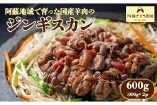 阿蘇地域で生産した貴重な国産羊肉のジンギスカン！　　国産羊肉 ジンギスカン 熊本特産 晩白柚風味  羊肉レシピ 簡単調理 焼くだけ 本格ジンギスカン  熊本グルメ ご当地グルメ 特製漬け込み お取り寄せグルメ BBQ食材 ご飯に合う ヘルシー肉 風味豊かな羊肉 熊本 阿蘇市