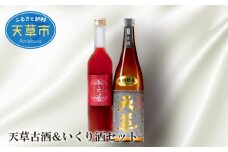 S013-001_天草古酒＆いくり酒セット