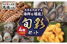 S002-005_旬彩セット(活き車海老・活きあわび・活きサザエ・殻出し生うに・天然塩)