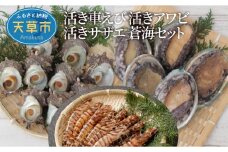 S002-004_蒼海セット(活き車海老・活きあわび・活きサザエ・天然塩)