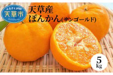S053-004_天草産 ぽんかん(サンゴールド)5kg〈先行受付〉