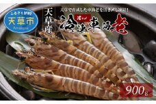 S065-003_活き〆冷凍車海老 900g (400g×1パック・500g×1パック)