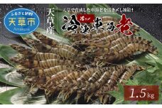S065-004_活き〆冷凍車海老 1.5kg (500g×3パック)