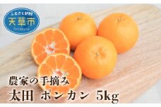 S040-005_農家の手摘み 太田 ポンカン 約5kg 【先行受付】